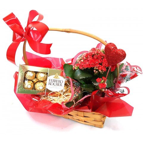 Arranjo Amo-te Todo Dia